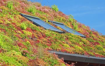 Grimpo living roof systems