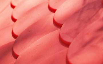 Grimpo plastic roof costs